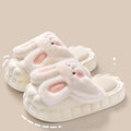 Removable Rabbit Cotton Slippers Women Wear New Winter Home Thick Soled Wool Shoes